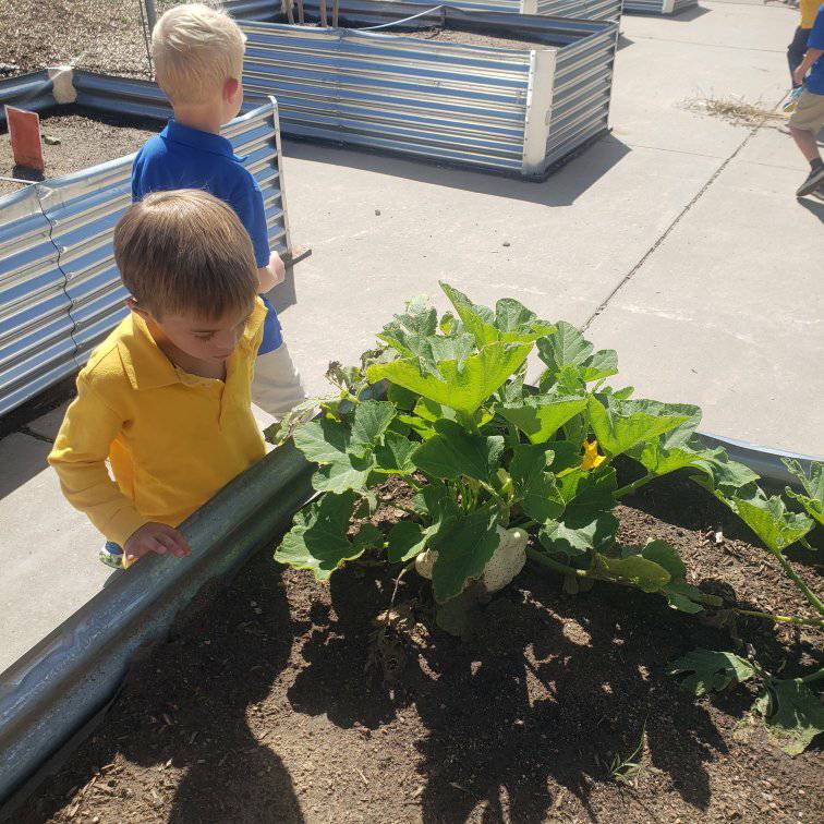 PTAA Colorado Springs students in the school garden
